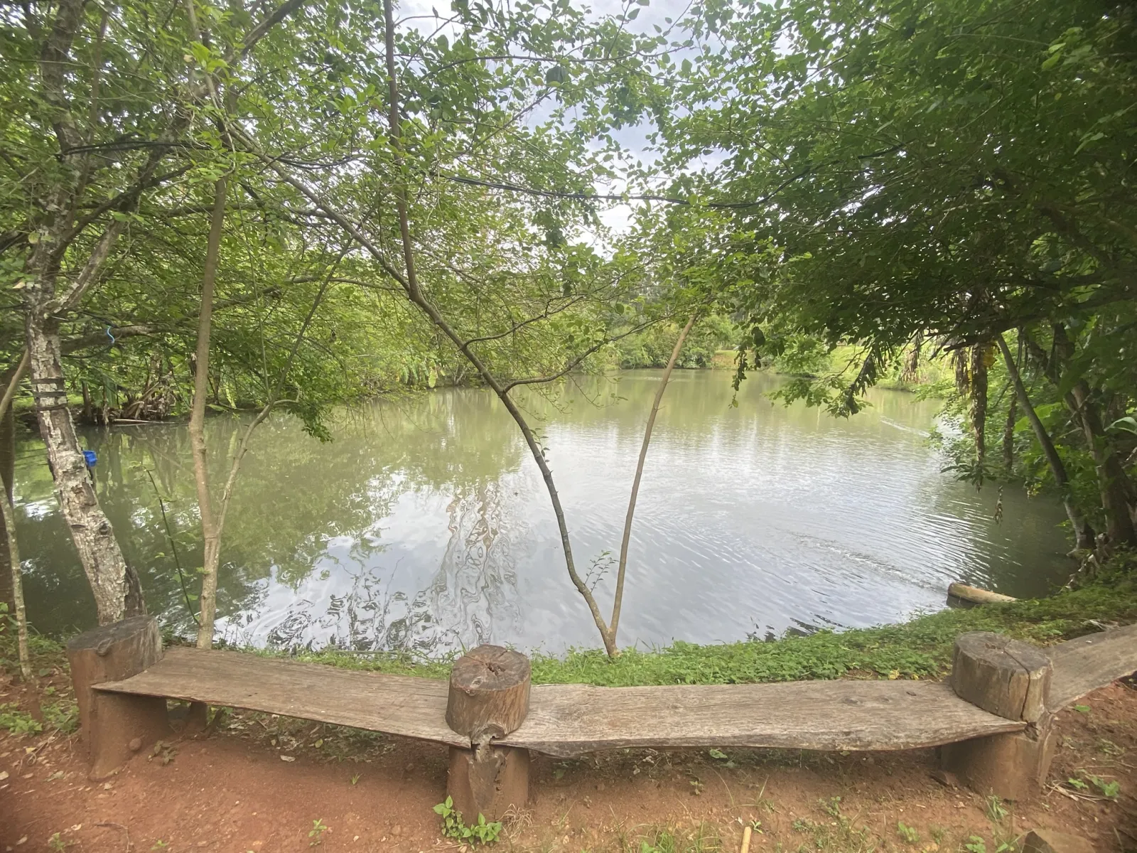 Granja Arfimar: predio de 1,25 hectáreas con 3 lagunas de pesca · Posadas